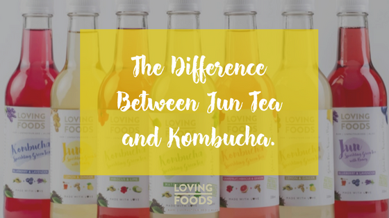 The Difference Between Jun Tea and Kombucha.