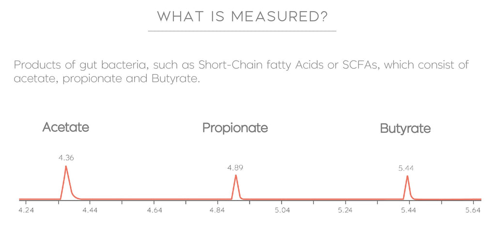 Gut Performance Test